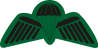 4RAR Cdo wings